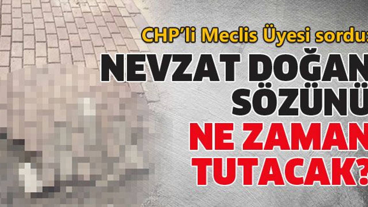 Nevzat Doğan sözünü ne zaman tutacak?