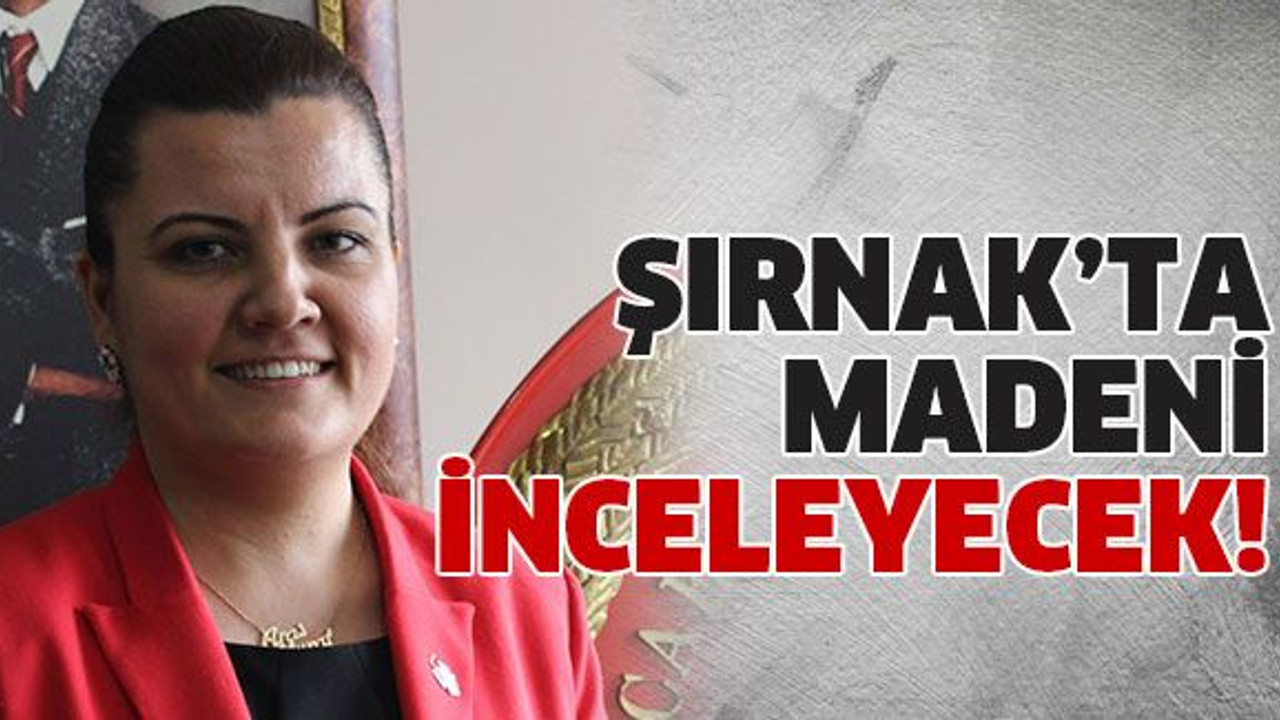 Şırnak’ta madeni inceleyecek!