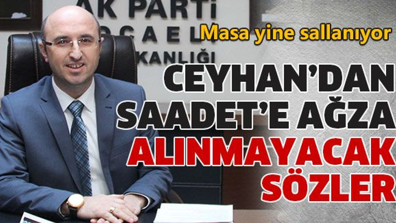 Ceyhan’dan Saadet’e ağza alınmayacak sözler