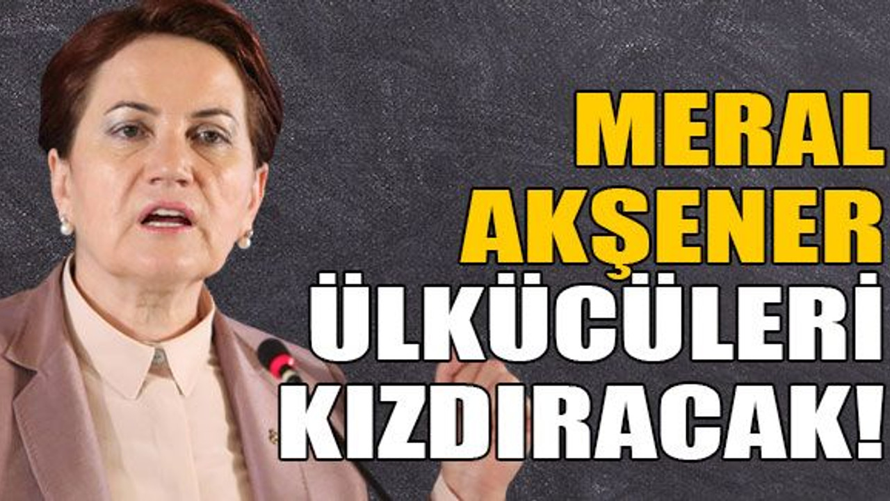 Meral akşener Ülkücüleri kızdıracak!