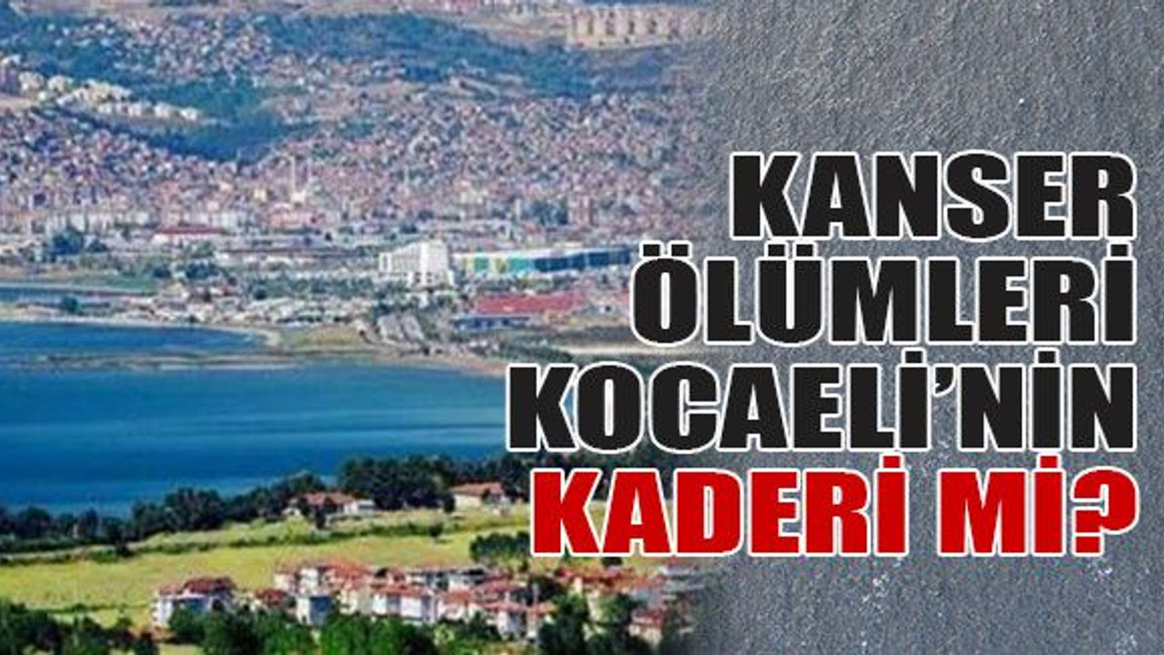 Kanser ölümleri Kocaeli’nin kaderi mi?