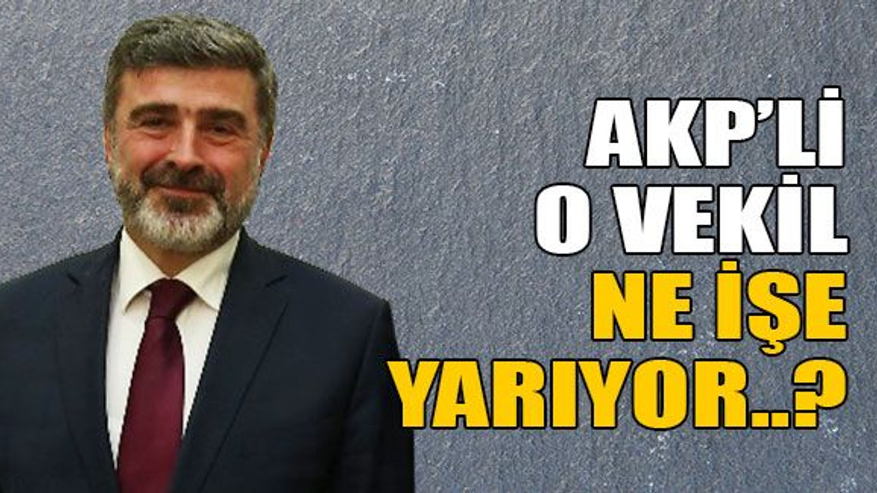 AKP’li o vekil ne işe yarıyor..?
