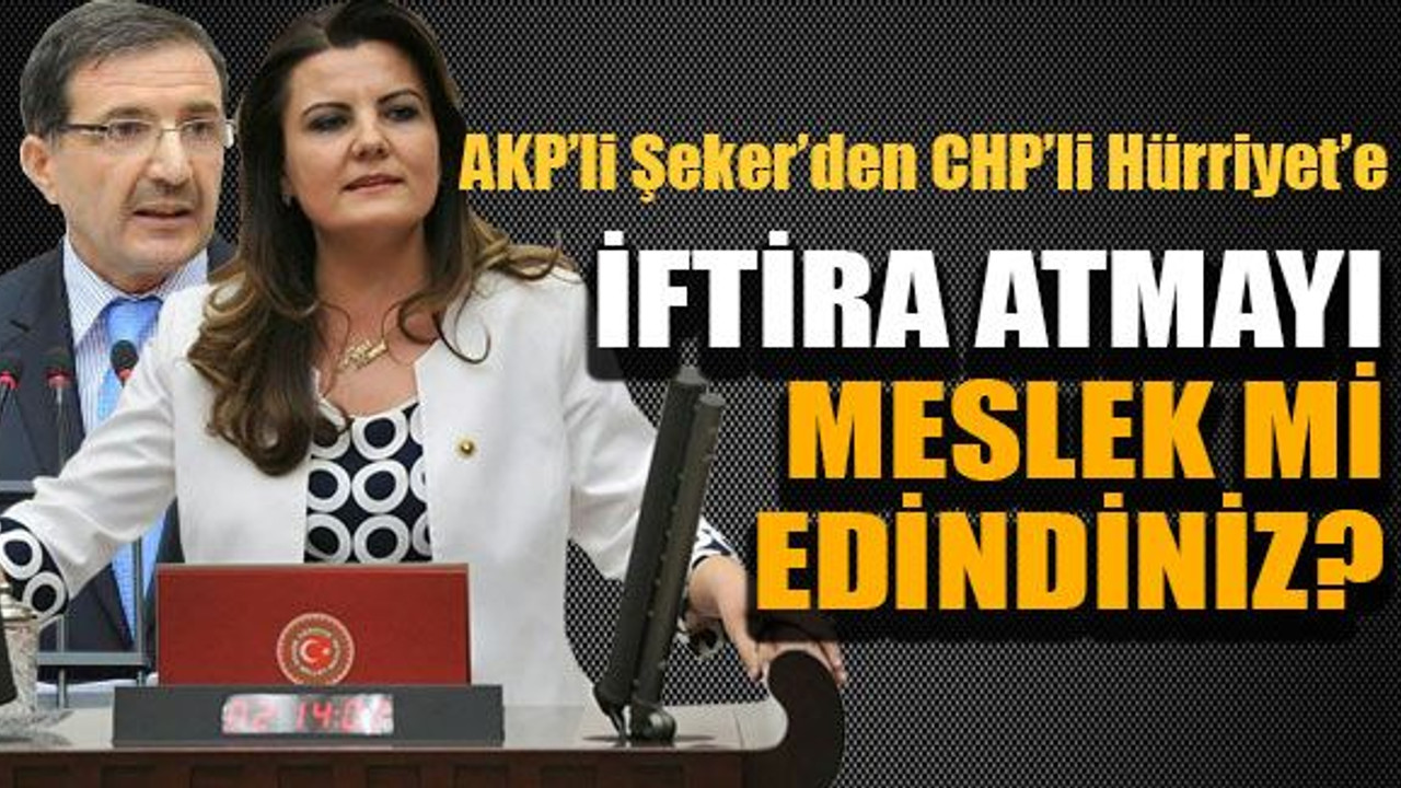 İftira atmayı meslek mi edindiniz?