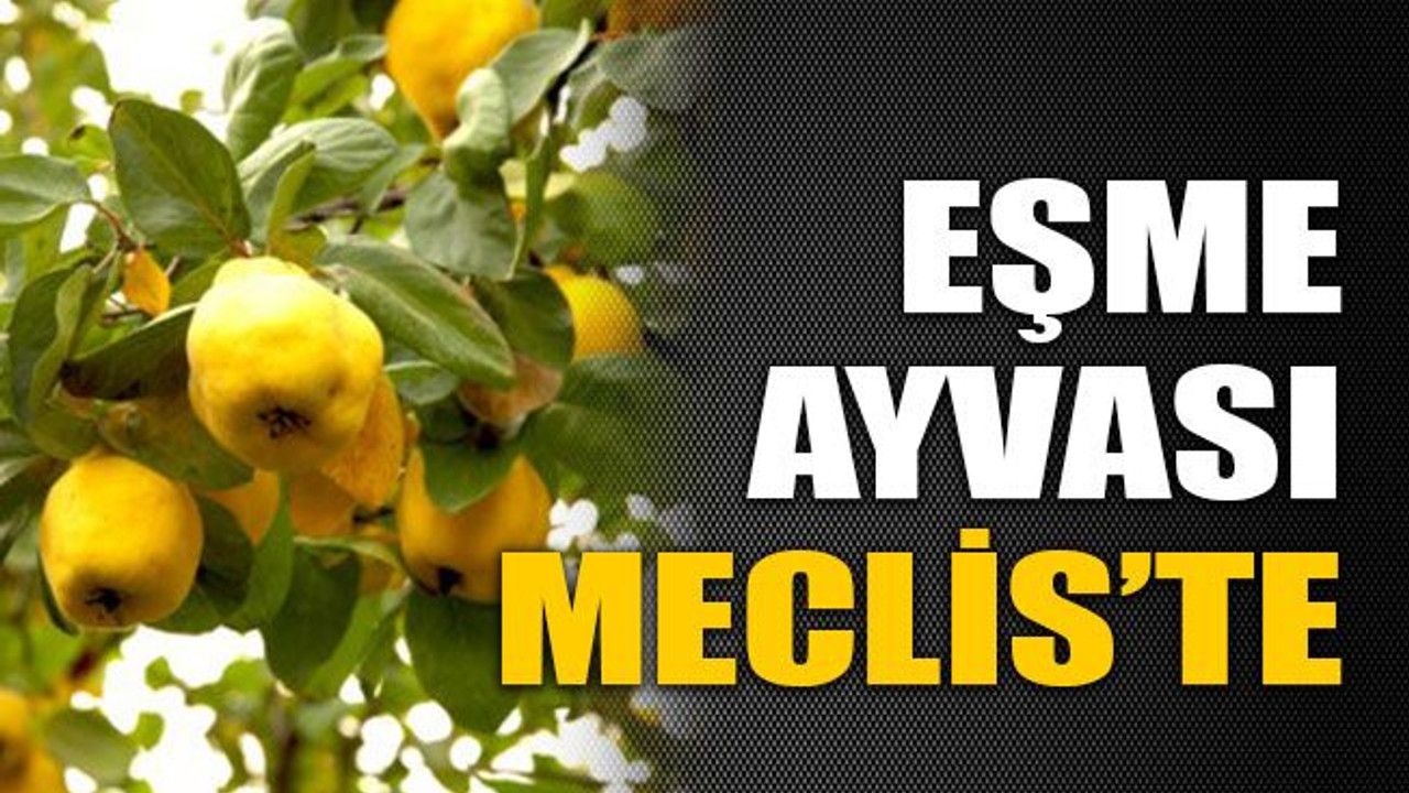 Eşme ayvası Meclis’te