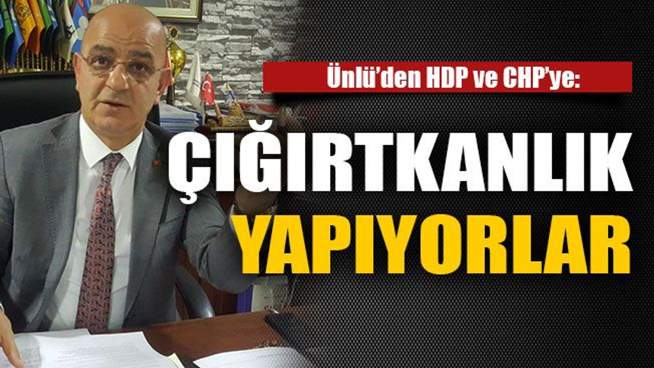 Ünlü'den HDP ve CHP'ye: Çığırtkanlık yapıyorlar
