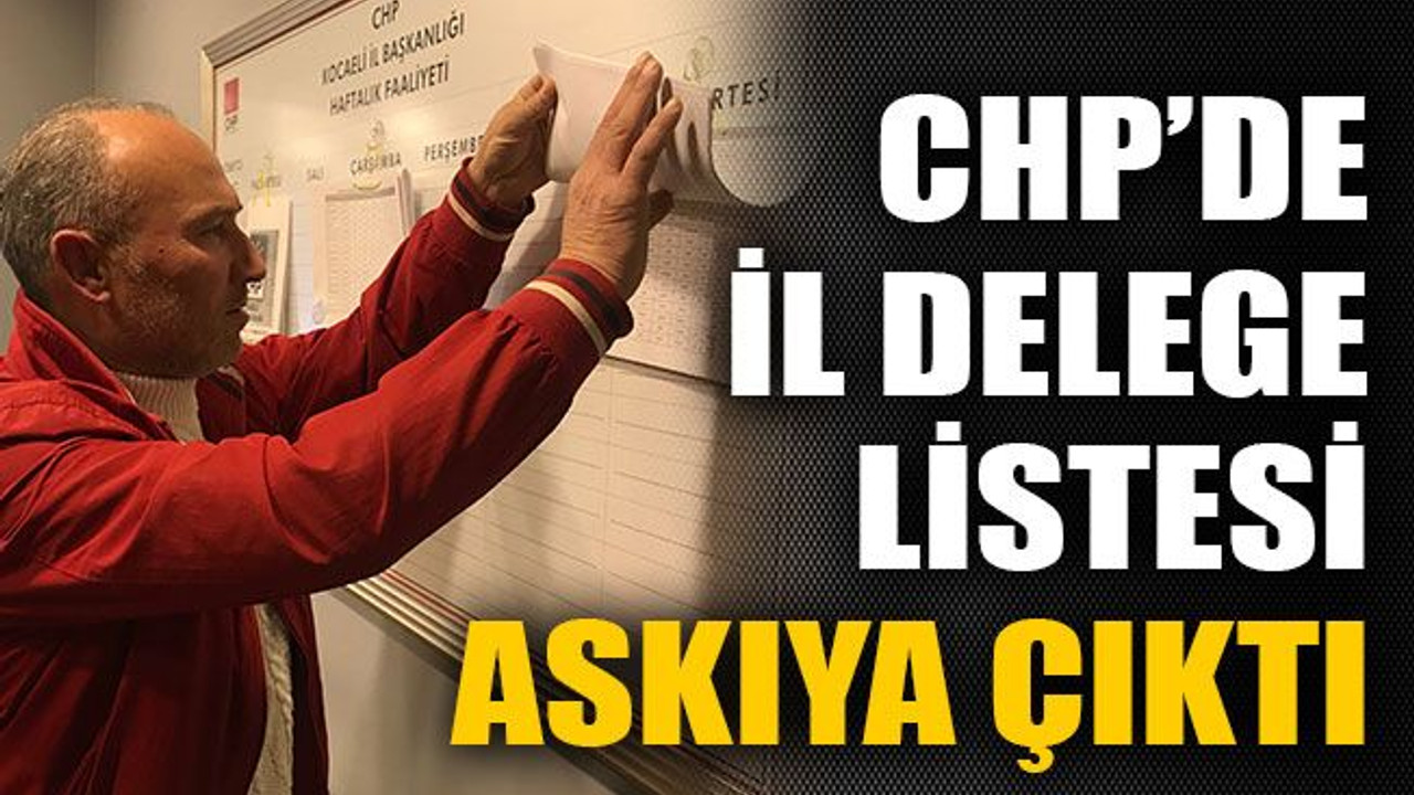 CHP’de il delege listesi askıya çıktı