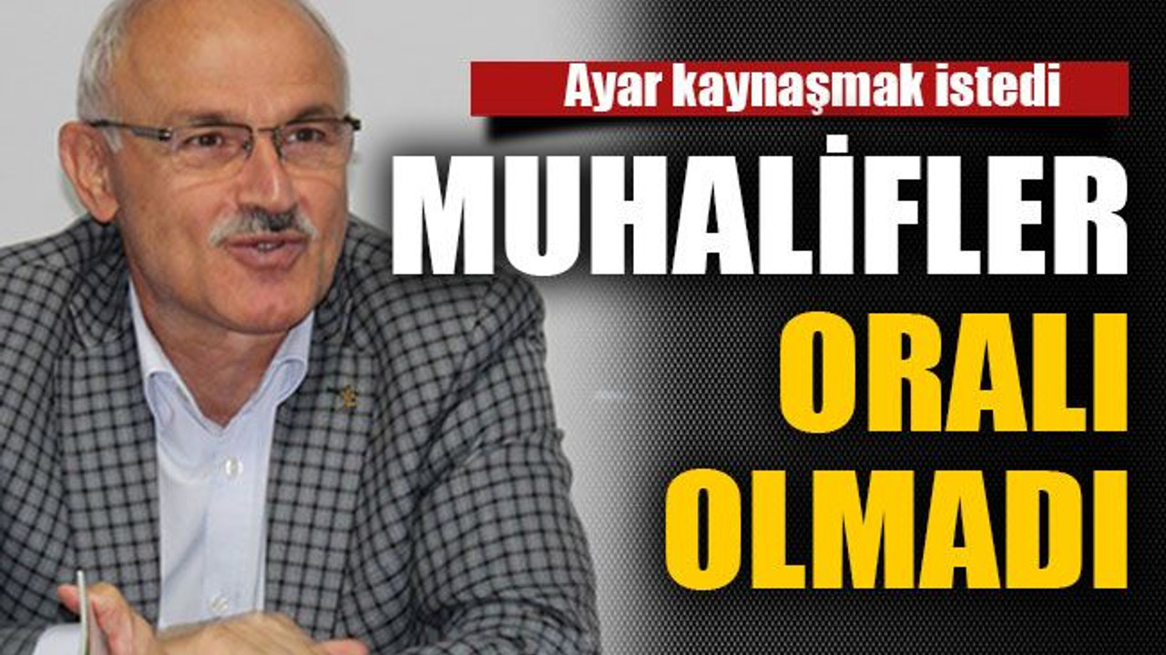 Ayar kaynaşmak istedi muhalifler oralı olmadı