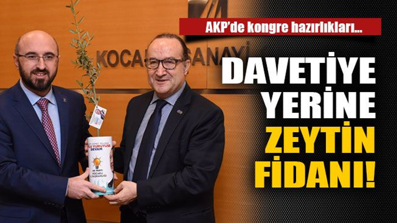 Davetiye yerine zeytin fidanı!