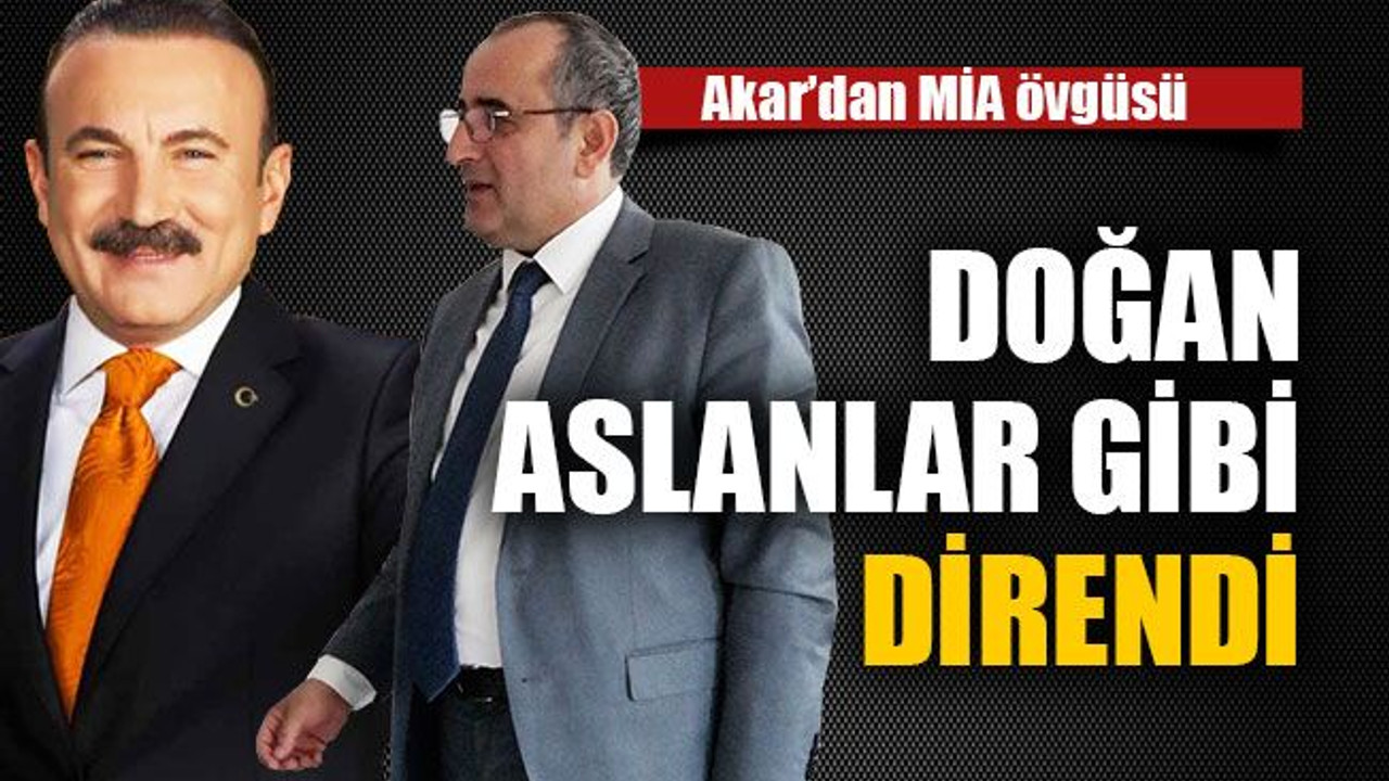 Doğan aslanlar gibi direndi
