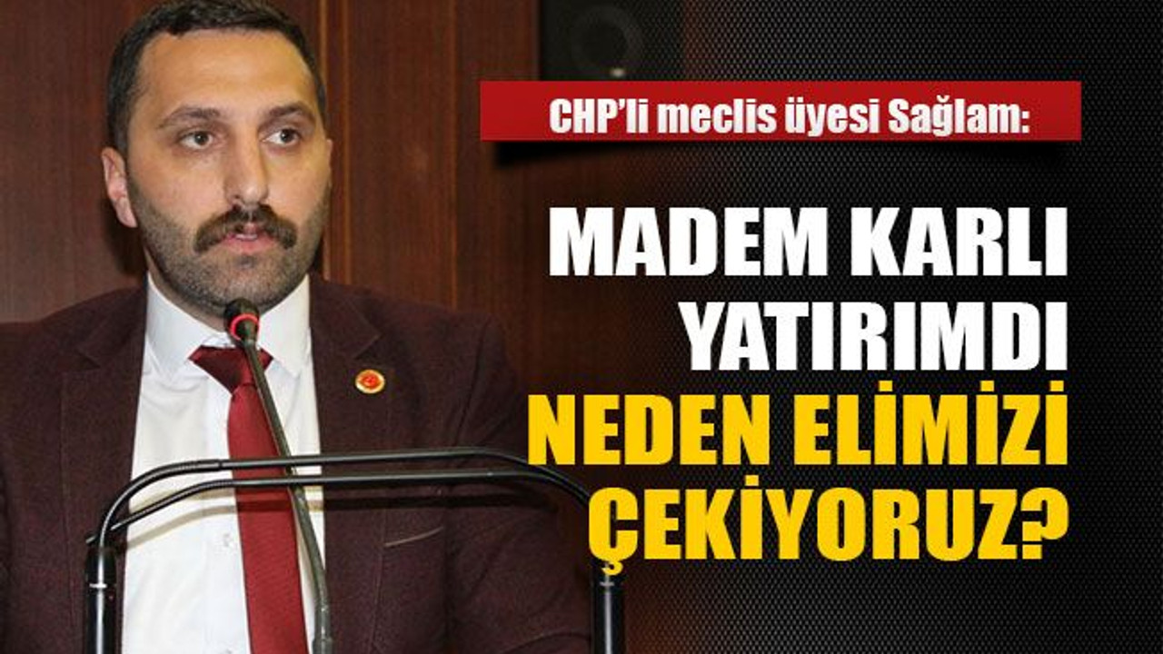 Sağlam: Madem karlı yatırımdı neden elimizi çekiyoruz?