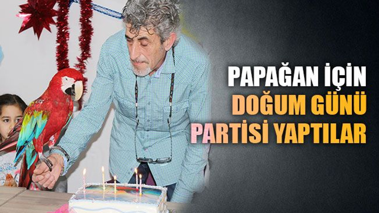 Kocaeli'de Papağan 'Paşa' için doğum günü partisi yaptılar!