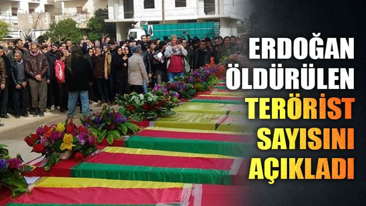 Erdoğan, öldürülen terörist sayısını açıkladı