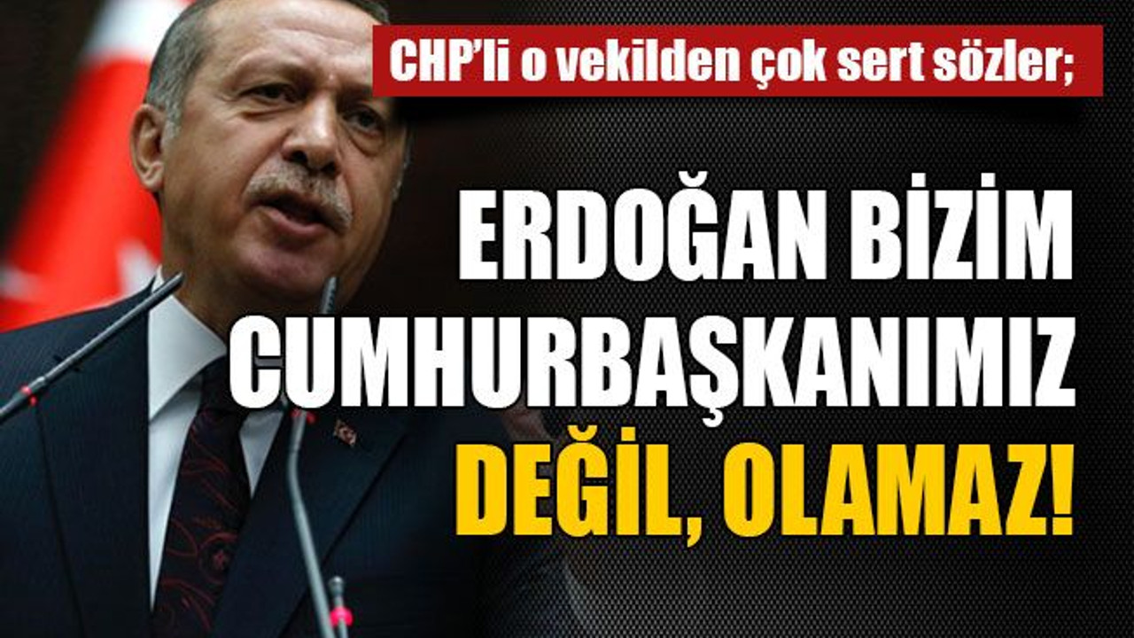 CHP'li vekil: Erdoğan bizim cumhurbaşkanımız değil, olamaz!