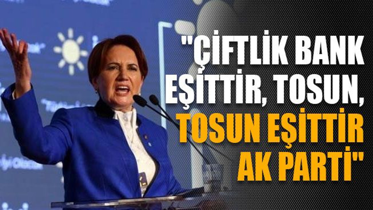 Meral Akşener: "Çiftlik Bank eşittir, Tosun, Tosun eşittir, AK Parti"