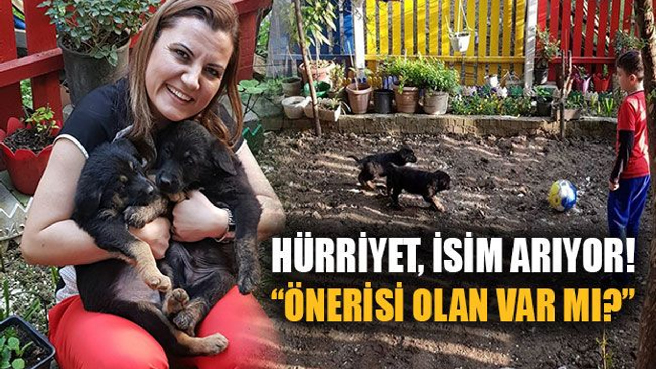 Hürriyet, isim arıyor! “Önerisi olan var mı?”
