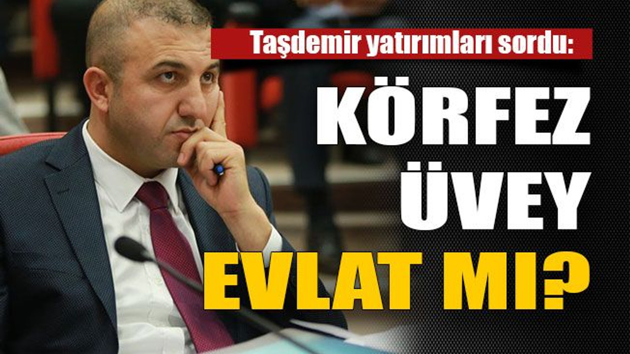 2017 faaliyet raporu görüşüldü Körfez üvey evlat mı?