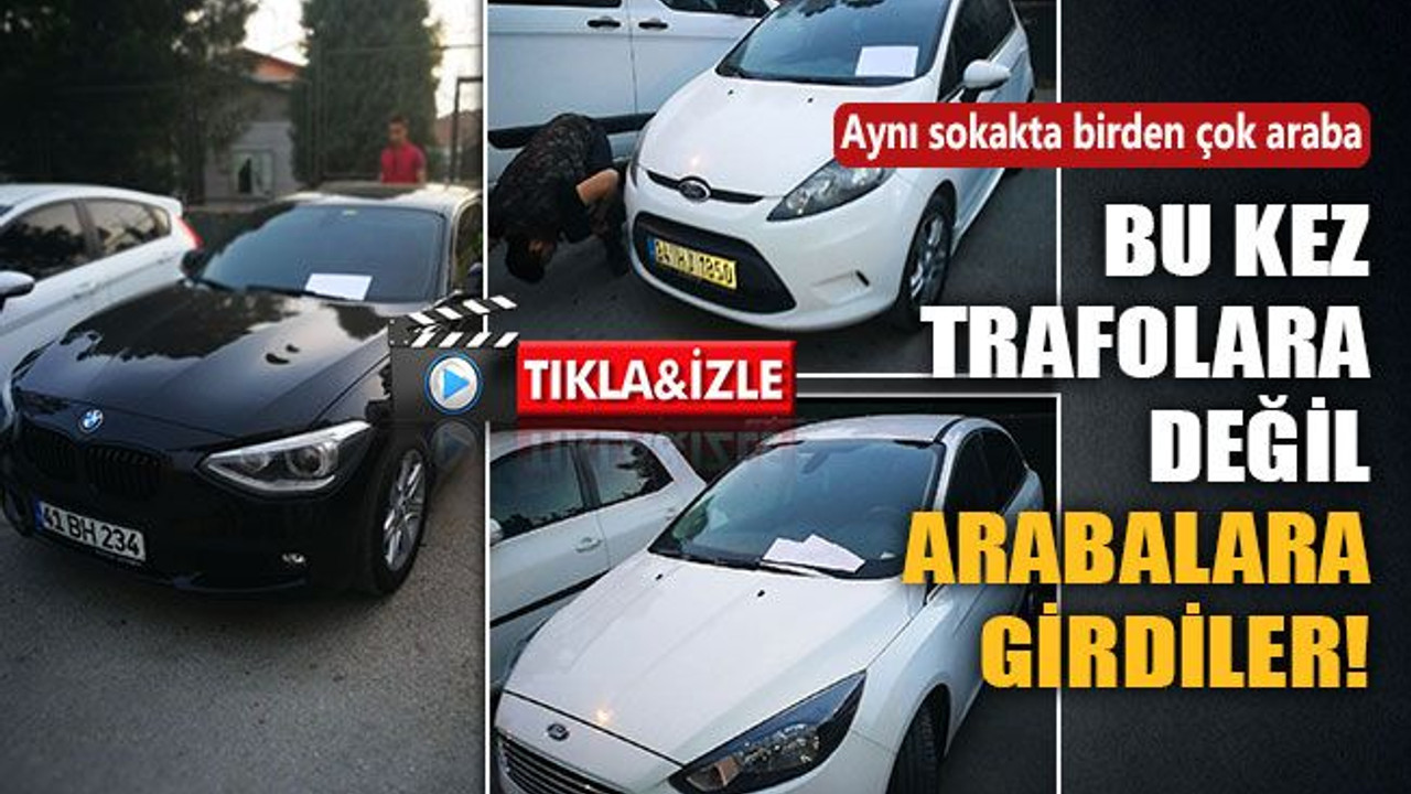 Bu kez trafolara değil arabalara kediler girdi