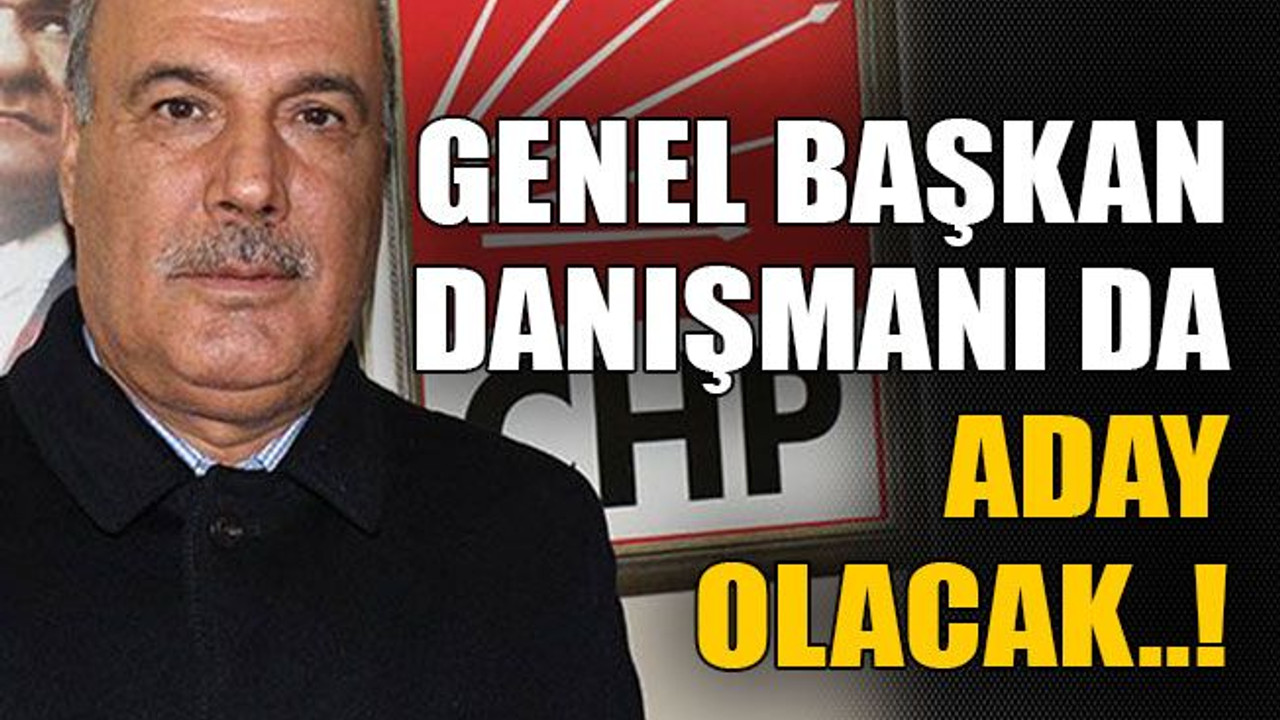 Genel başkan danışmanı da aday olacak..!
