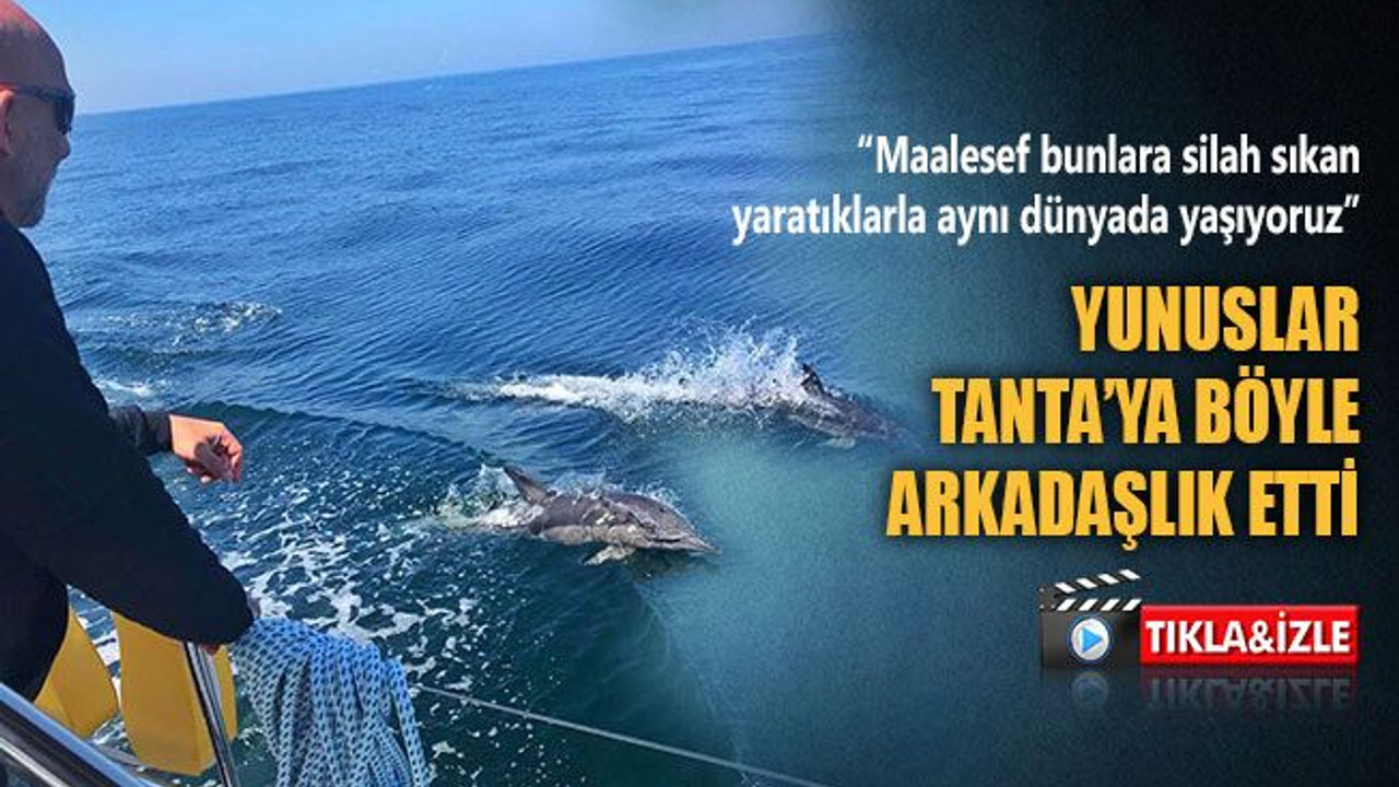 Yunuslar, Tanta’ya böyle arkadaşlık etti