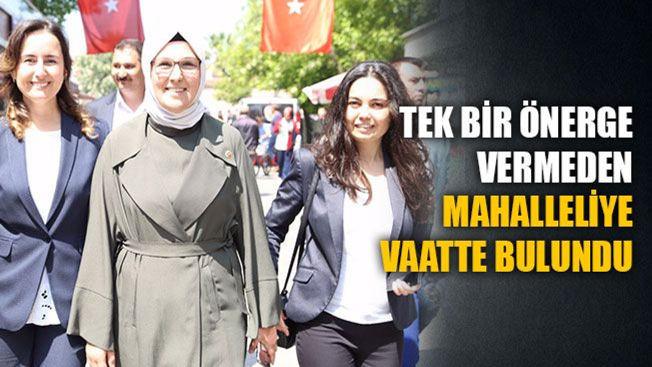 Tek bir önerge vermeden mahalleliye vaatte bulundu!