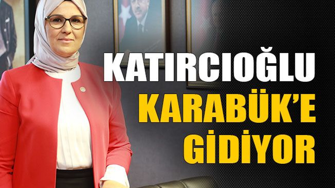 Katırcıoğlu’na Karabük’te görev