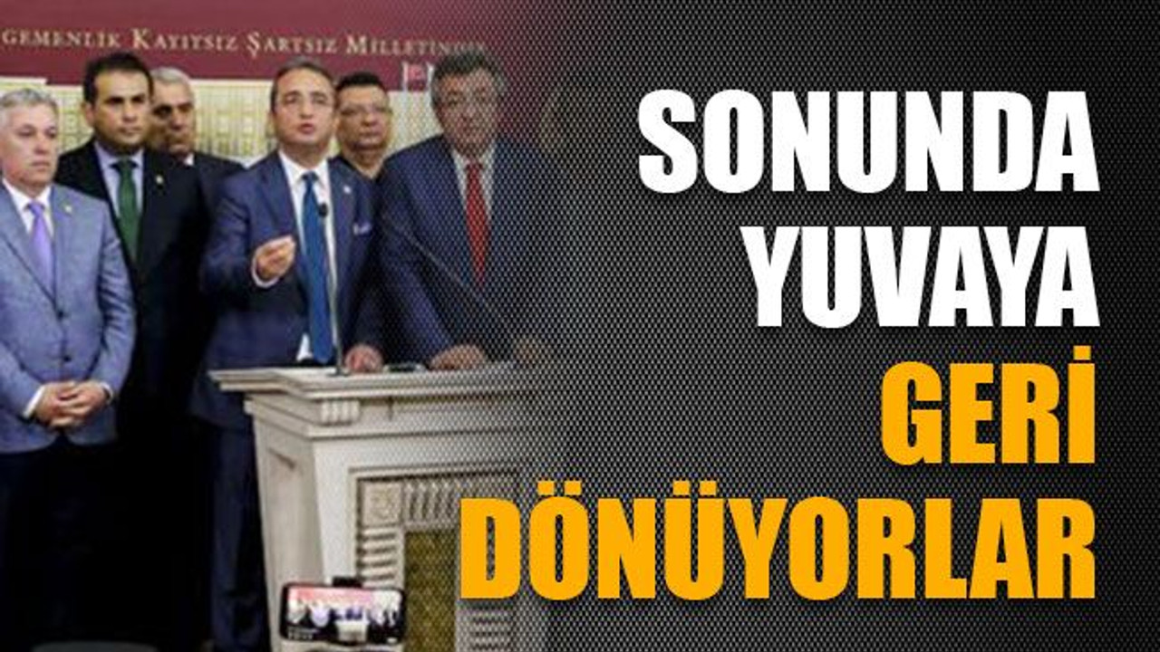 Sonunda yuvaya geri dönüyorlar