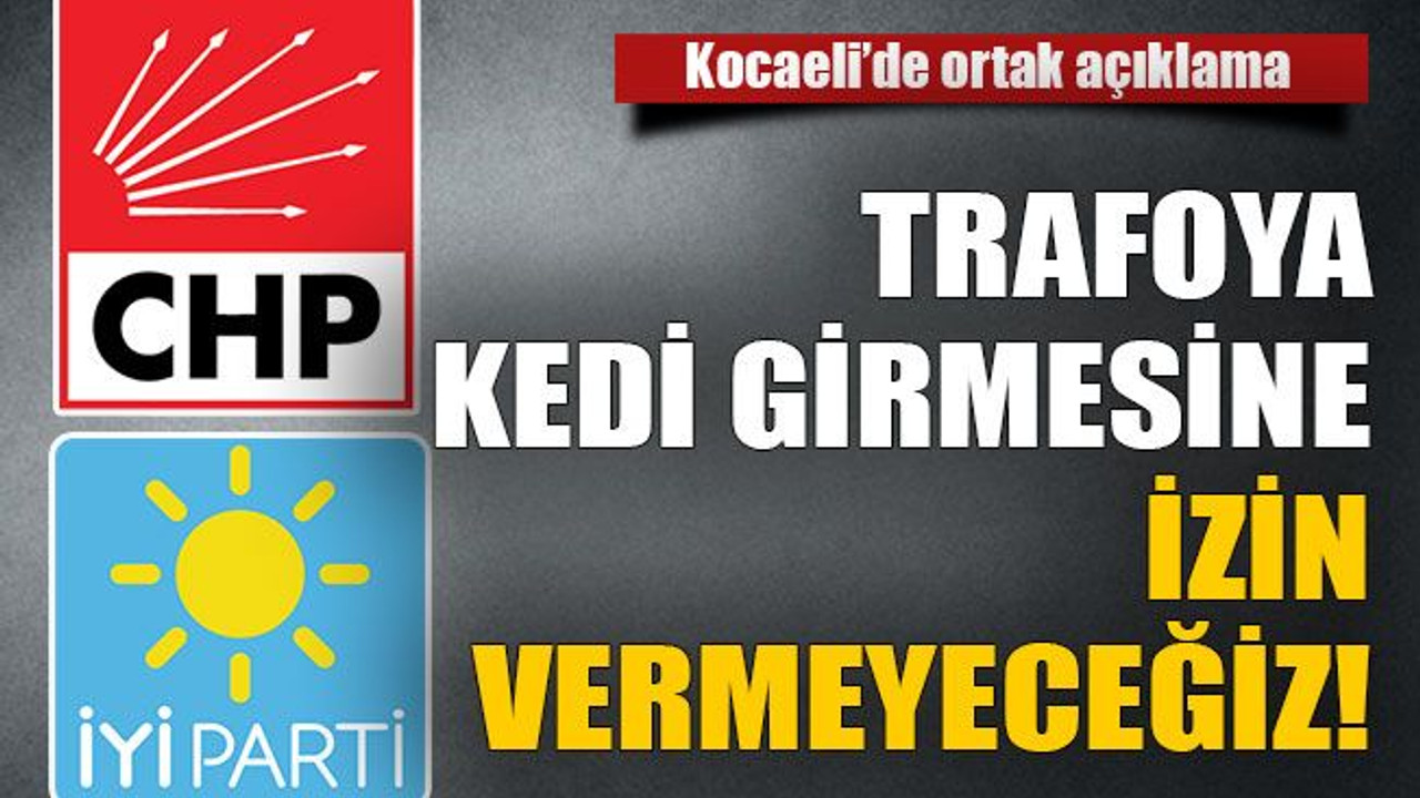Trafoya kedi girmesine izin vermeyeceğiz!