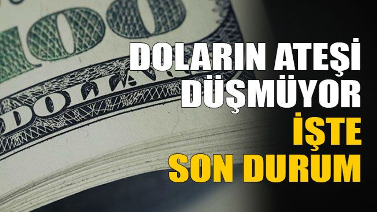 Doların ateşi düşmüyor. işte son durum