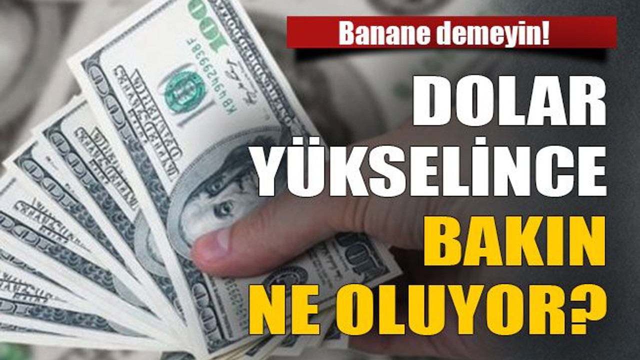 Dolar yükselince bakın ne oluyor?
