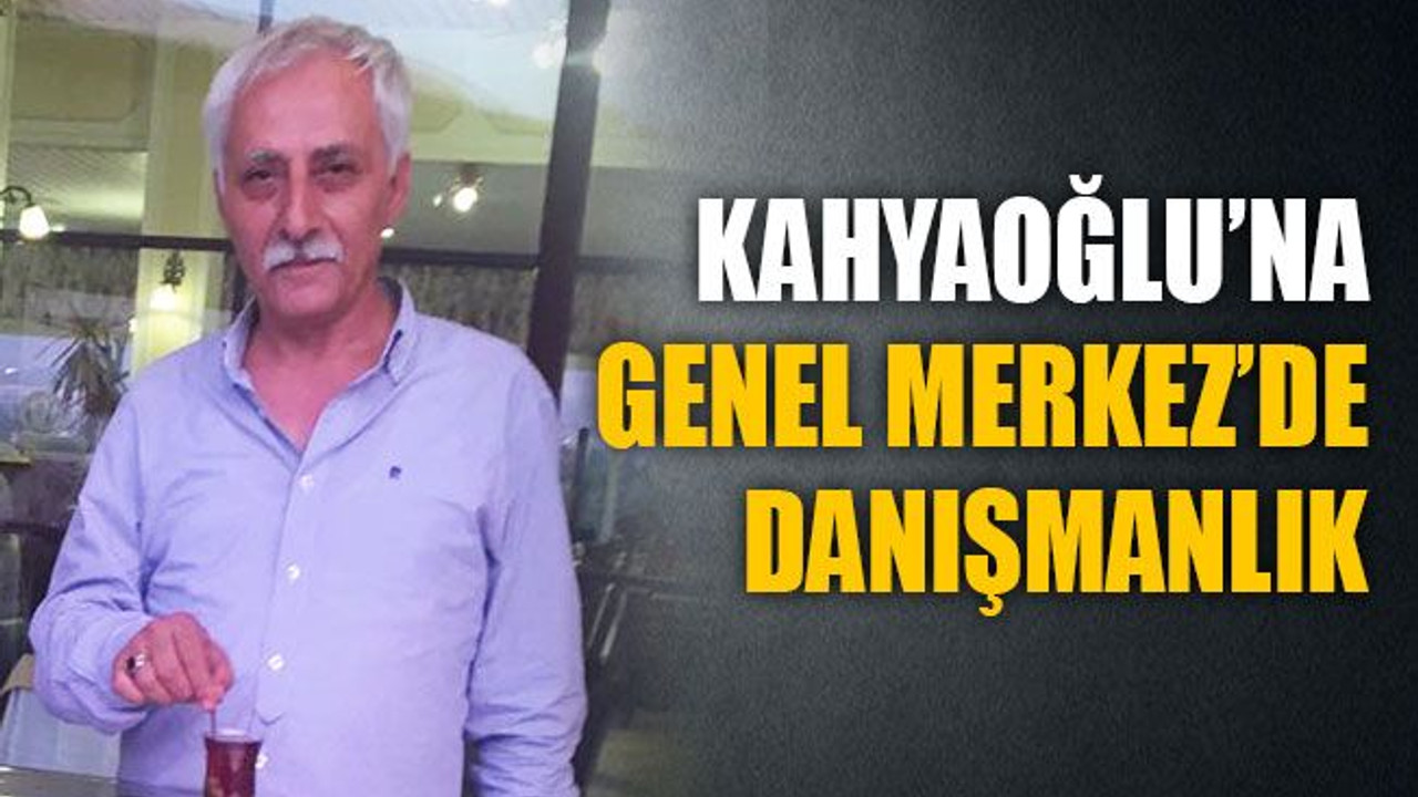 Kahyaoğlu’na Genel Merkez’de danışmanlık