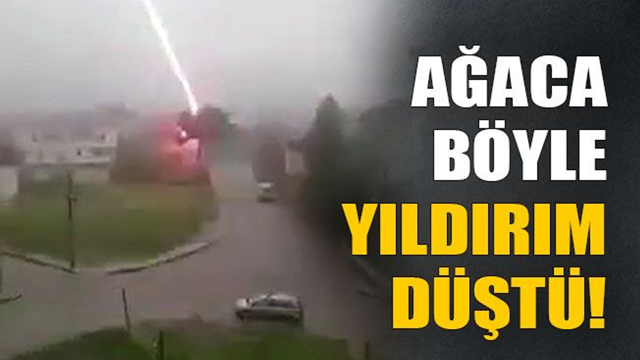 Ağaca böyle yıldırım düştü!