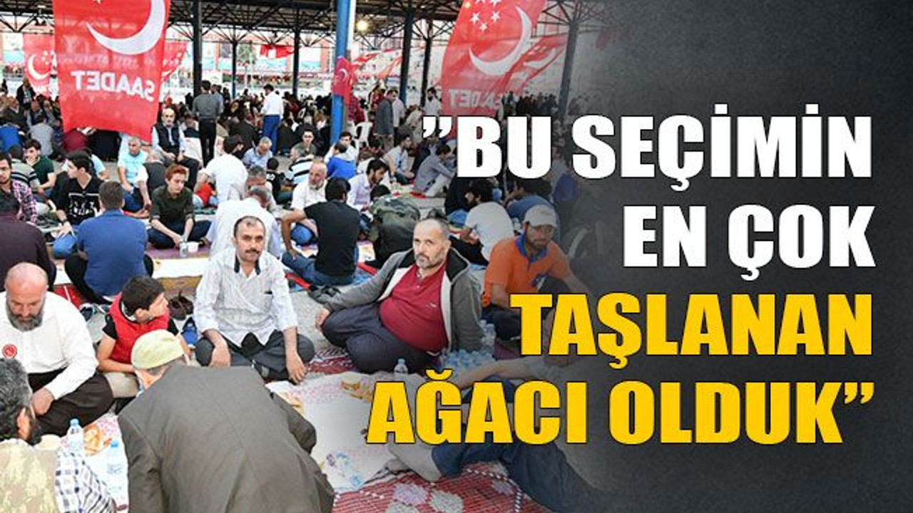 Bu seçimin en çok taşlanan ağacı olduk