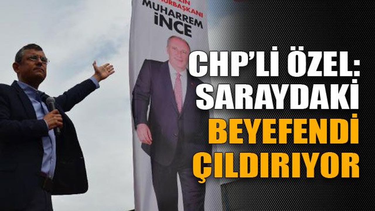 CHP'li Özel: Saraydaki beyefendi çıldırıyor