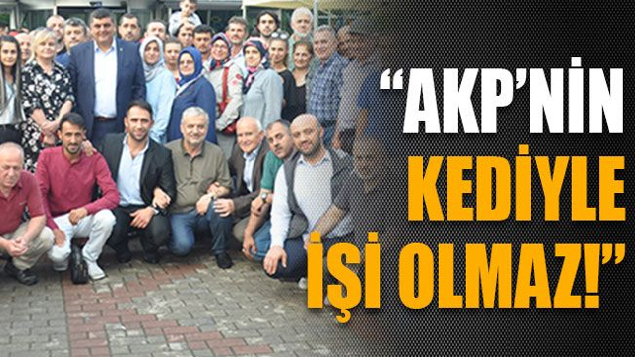 “AKP’nin kediyle işi olmaz!”