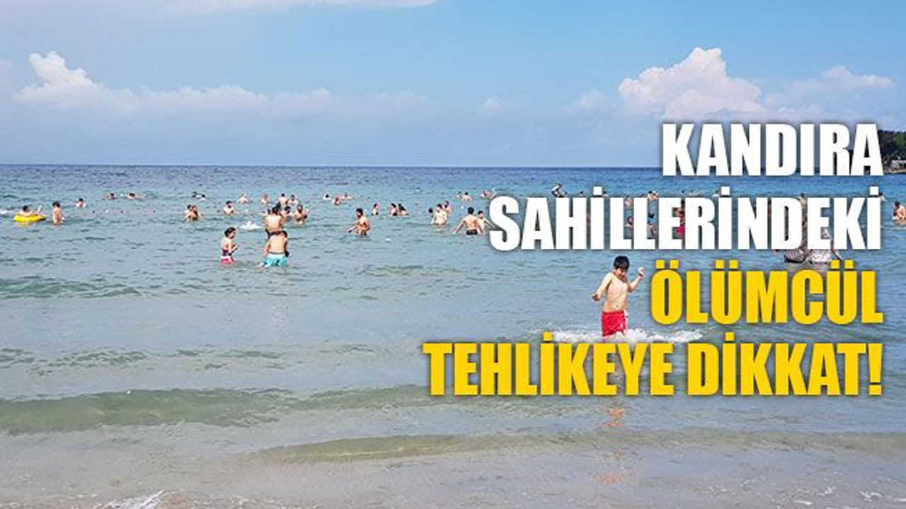 Kandıra sahillerindeki ölümcül tehlikeye dikkat!