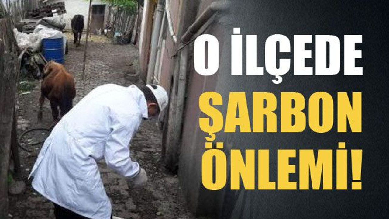 O ilçede şarbon önlemi