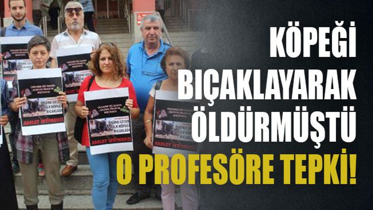 Köpeği bıçaklayarak öldürmüştü, o profesöre tepki!