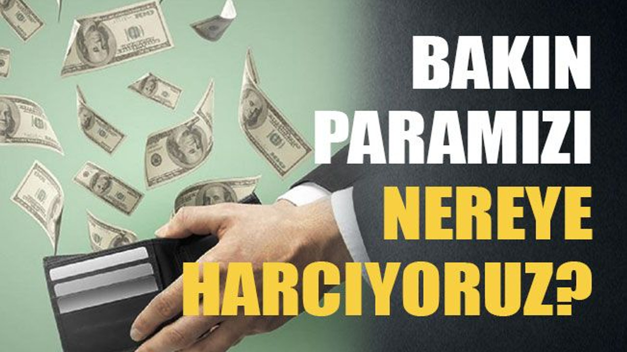 Bakın paramızı nereye harcıyoruz?