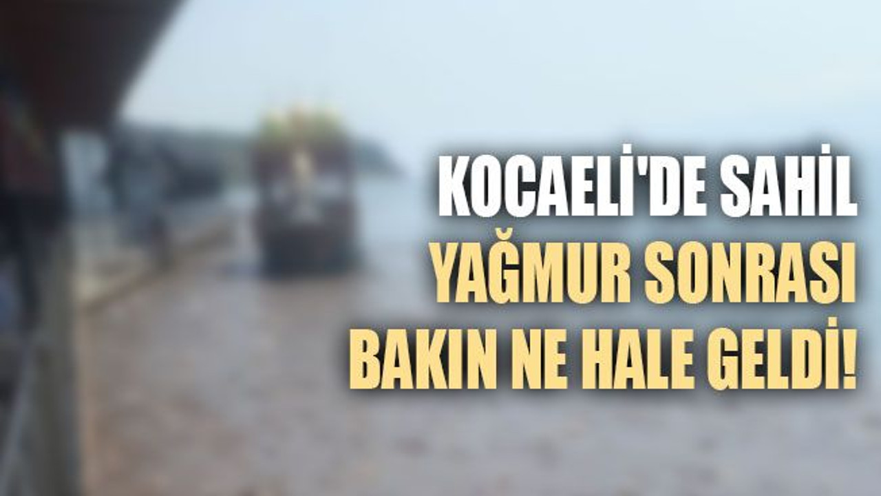 Kocaeli'de sahil, yağmur sonrası bakın ne hale geldi!