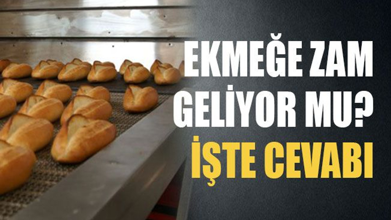 Ekmeğe zam geliyor mu? İşte cevabı