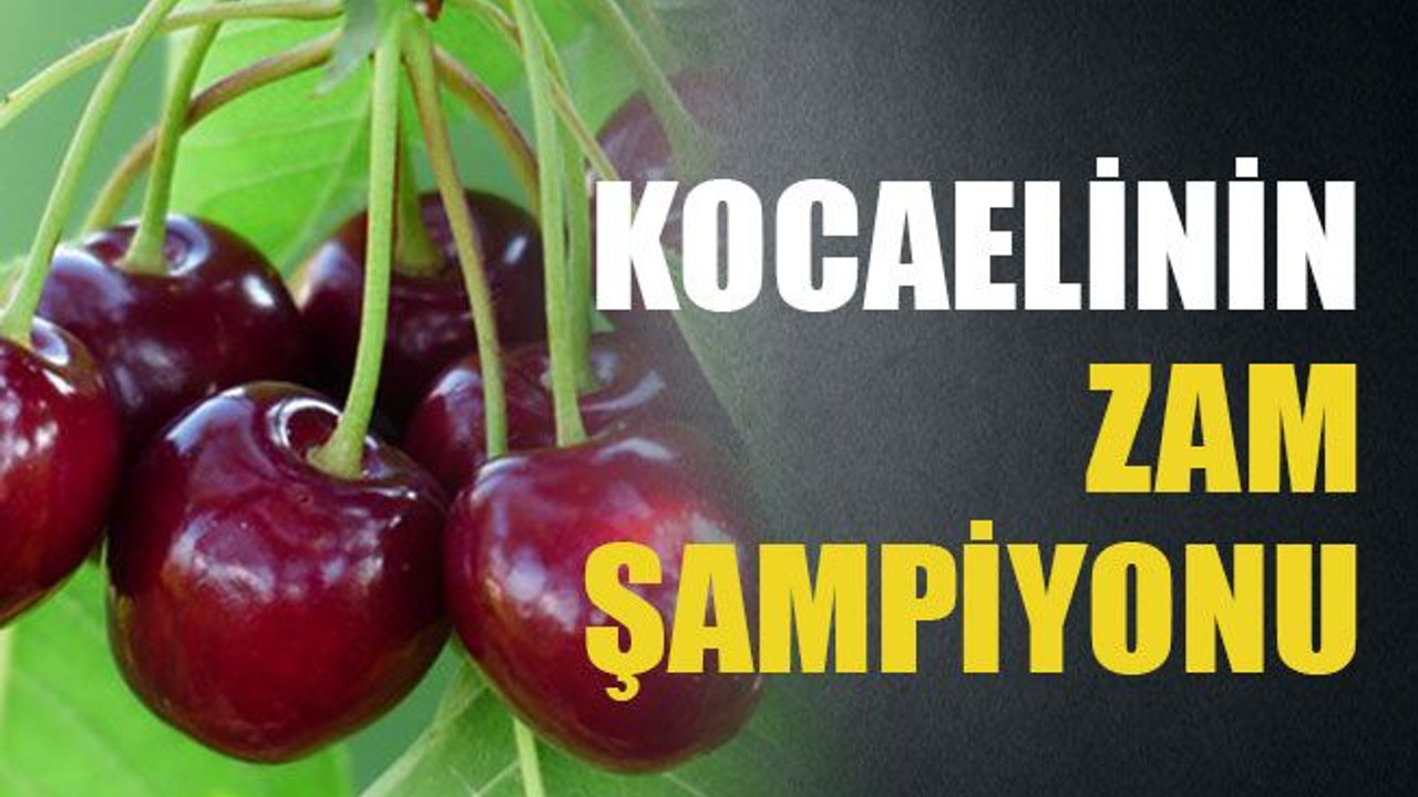 Kocaeli’nin zam şampiyonu
