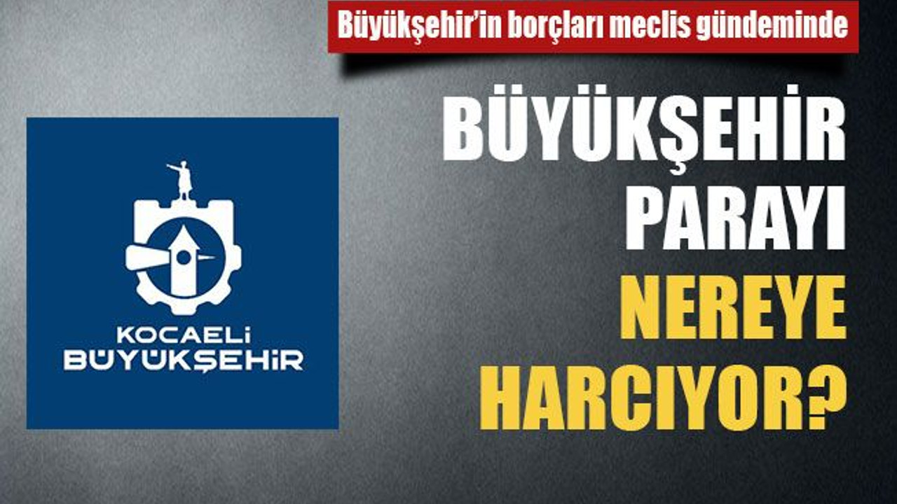 Büyükşehir parayı nereye harcıyor?