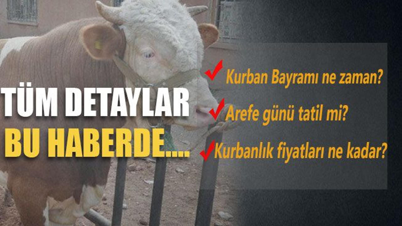 Kurban Bayramı hakkında tüm merak edilenler