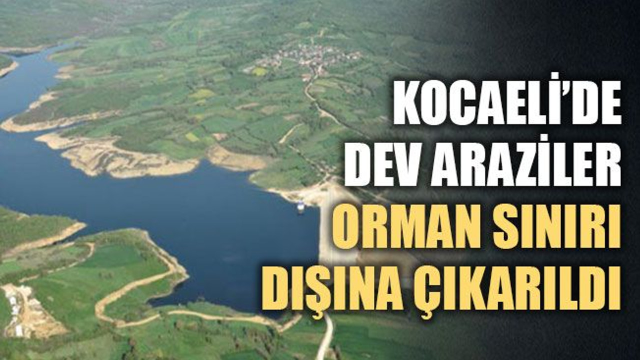Kocaeli'de dev araziler, orman sınırı dışına çıkarıldı