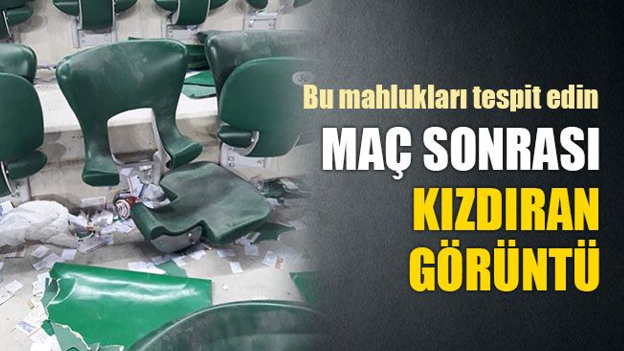 Bu mahlukları tespit edin... Maç sonrası kızdıran görüntü!