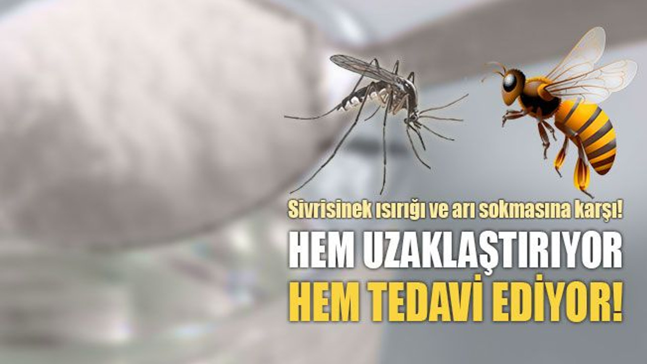 Sivrisinek ısırığı ve arı sokmasına karşı pratik çözüm... Hem uzaklaştırıyor hem tedavi ediyor!