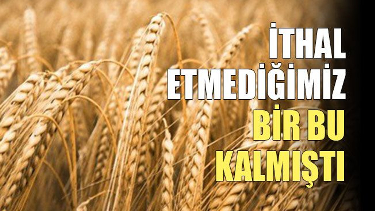 İthal etmediğimiz bir bu kalmıştı