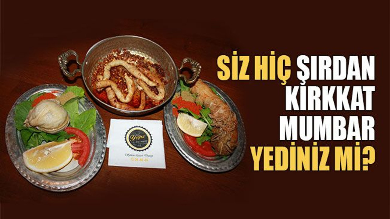 Siz hiç Şırdan, Kırkkat, Mumbar yediniz mi?