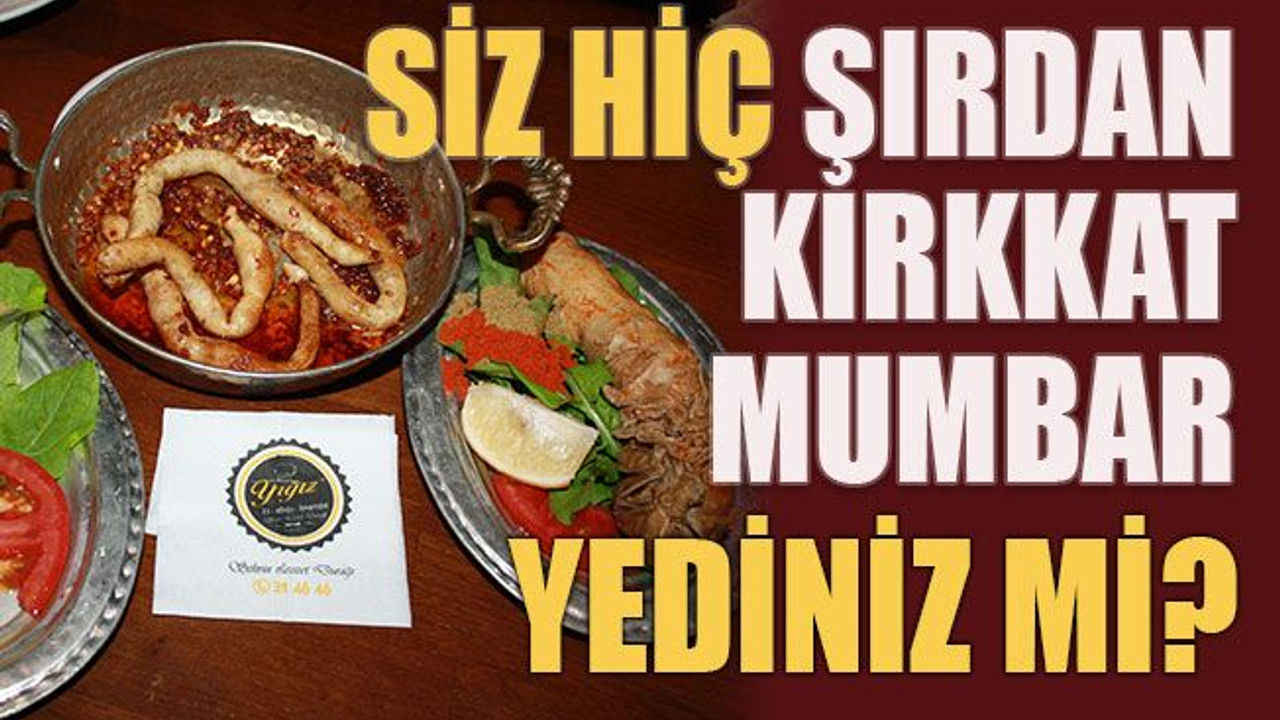 Siz Hiç Şırdan, Kırkkat, Mumbar Yediniz mi?