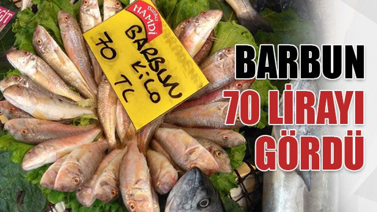 Barbun, 70 lirayı gördü